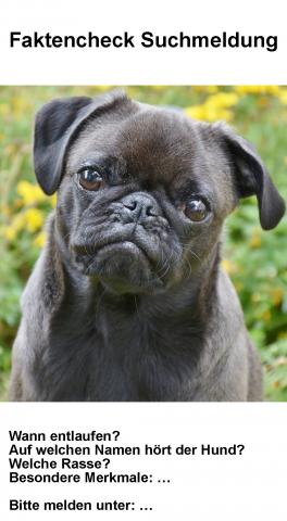4.1.3 Faktencheck Suchmeldung